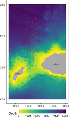 Changes in the Movement and Calling Behavior of Minke Whales (Balaenoptera acutorostrata) in Response to Navy Training